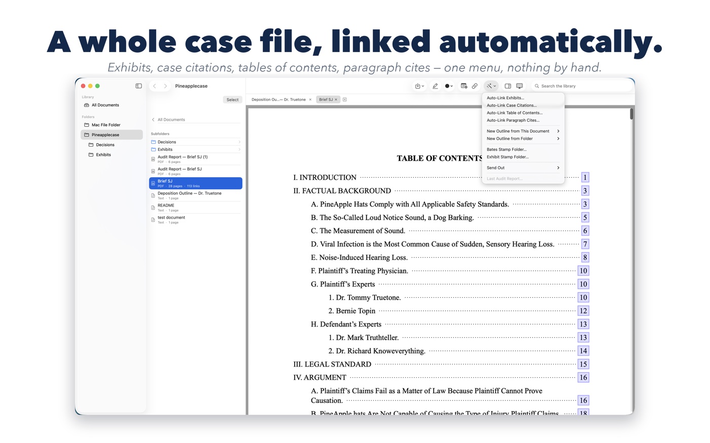 A whole case file, linked automatically